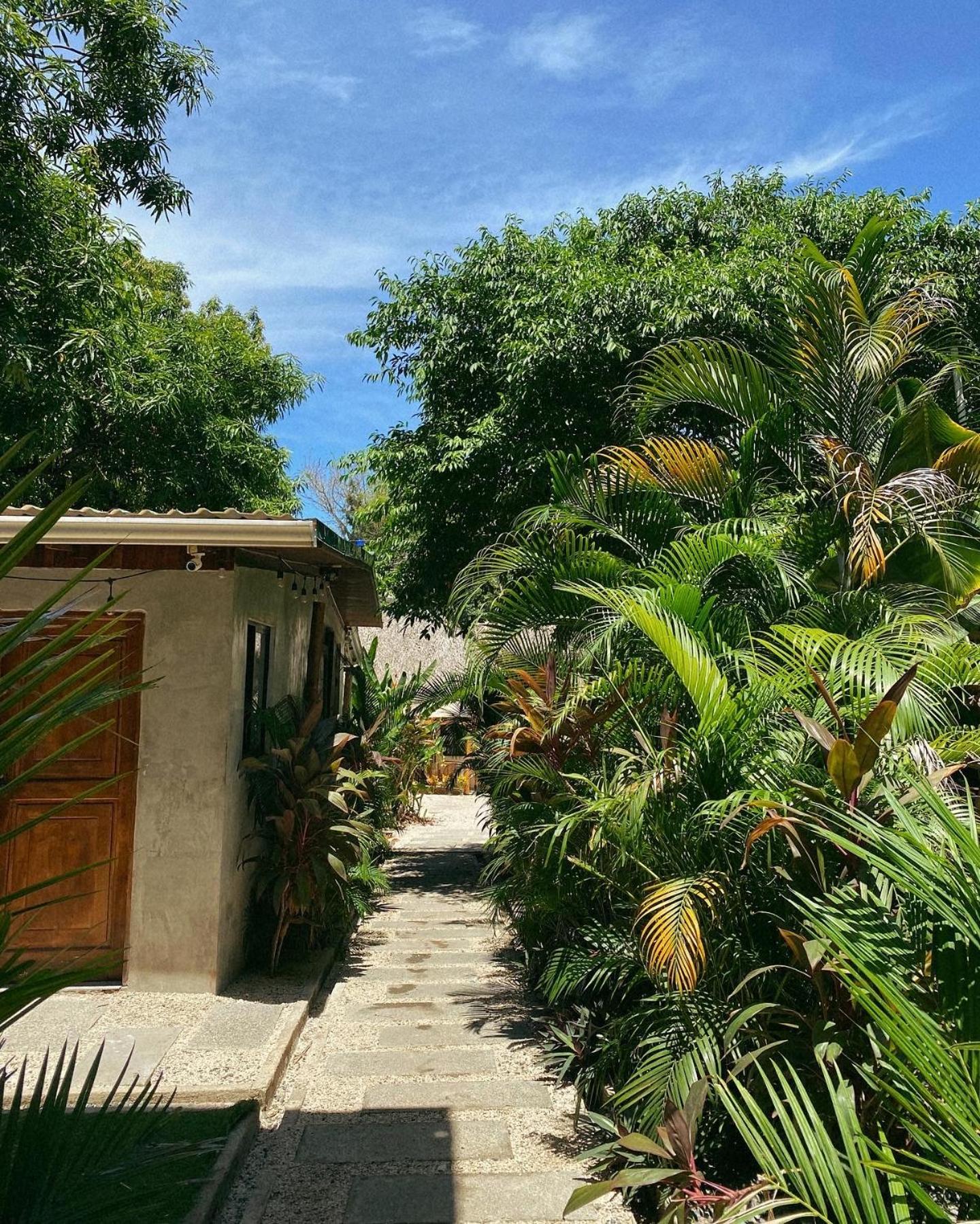 Cabinas Playa Surf Hostel Playa Santa Teresa  Exterior photo
